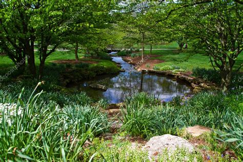  El Jardín de la Serenidad: Una Reflexión Vibrante sobre la Naturaleza y el Espíritu